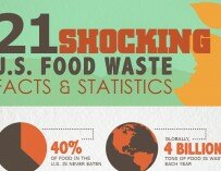 21 Shocking Food Waste Facts and Statistics