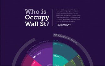 Demographics of Occupy Wall Street Movement