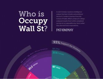 Demographics of Occupy Wall Street Movement