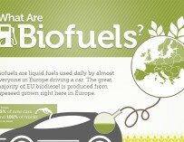 What Are Biofuels