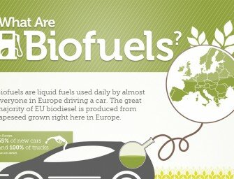 What Are Biofuels