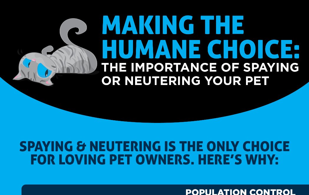 https://occupytheory.org/wp-content/uploads/2014/01/Spaying-and-Neutering-Statistics.jpg