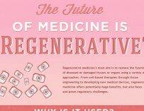 Advantages and Disadvantages of Embryonic Stem Cells