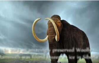 Cloning Extinct Animals Pros and Cons List